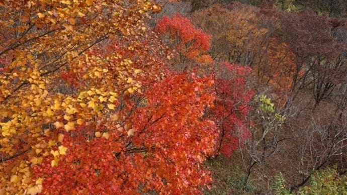 石倉山の紅葉2