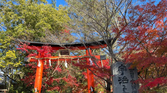 12/2 宇治で紅葉かみあるき2 組紐・寺社・茶そば・アート・友遠来