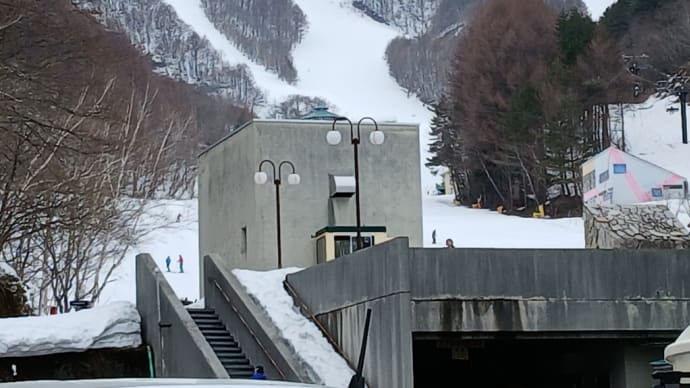 スキーに行って来ました