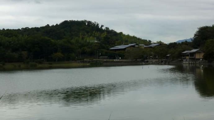 まち歩き (嵯峨野)