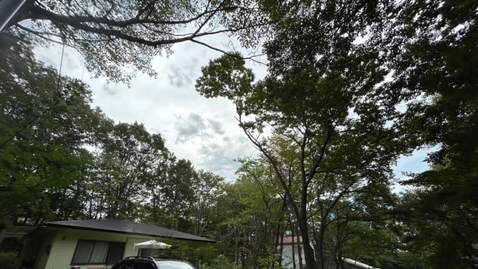 Tue '23/09/19 Smart Newsの天気予報はすごい!
