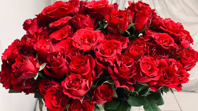 蠍座の赤い薔薇105本