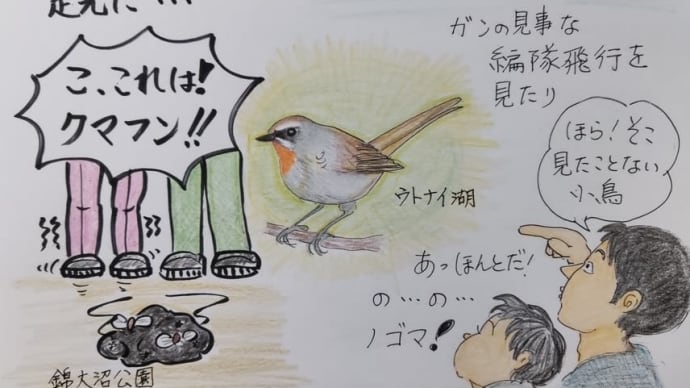 プチ旅行 苫小牧市 ウトナイ湖