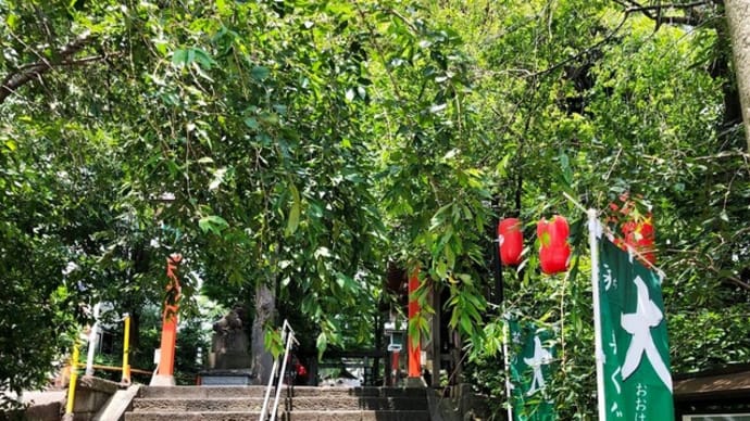 龍神様にご挨拶した6月の休日・・🐉✨⛩🐤