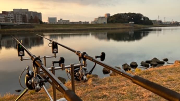 1月3日の鯉釣り