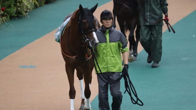 目指せ!クラシック