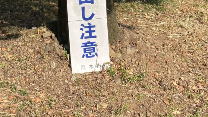 遠出して