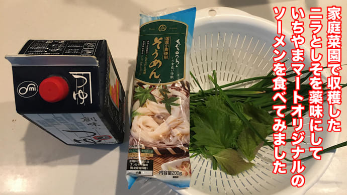 家庭菜園で収穫したニラとしそを薬味にして、いちやまマートオリジナルのソーメンを食べてみました!