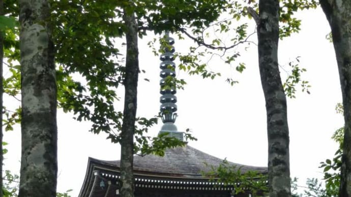 “ジジババツアー御一行様”はきょうもゆく(定義如来で世の安寧を願う・・・)