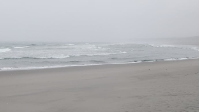 雨の表浜