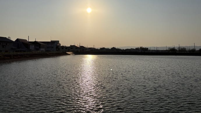 夕方散歩