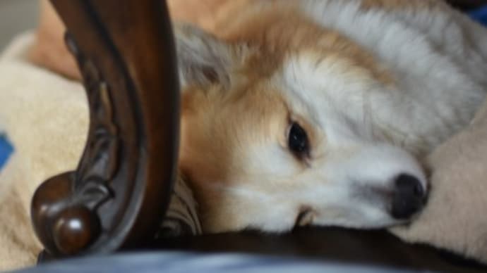 良かったり、悪かったり…汗