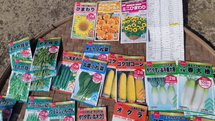 お日様に感謝