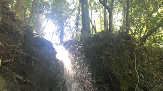 陰陽思想