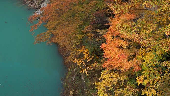 ★高瀬渓谷 北葛沢の紅葉② 2023