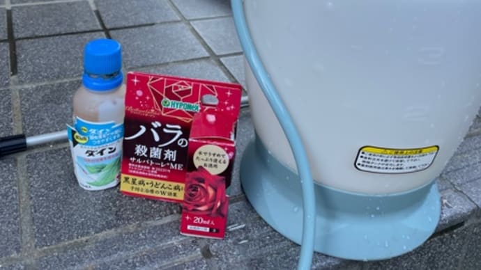 今年1回目の消毒/ドッグスクール桜満開