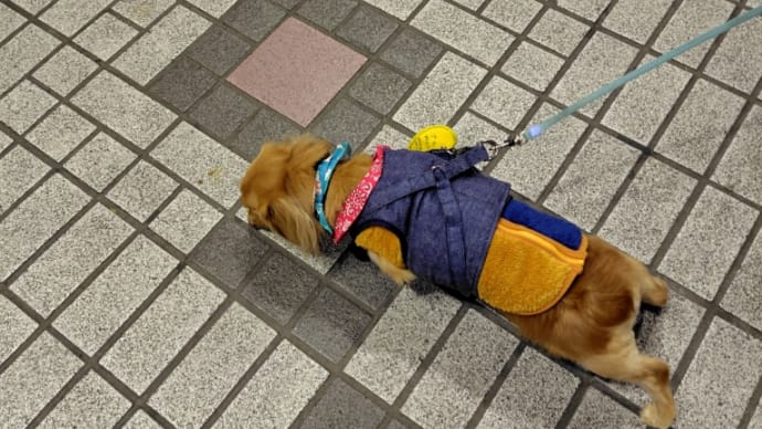 楽しい時間🥰