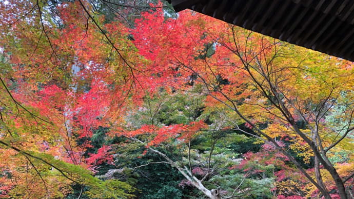 紅葉と 富士山を見に 鎌倉へ🍁🗻