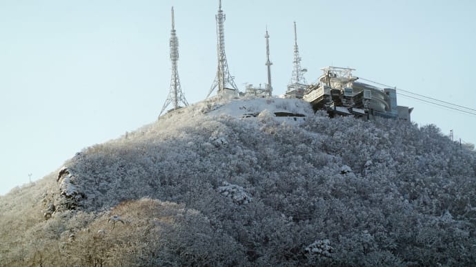 真冬景色散歩・函館公園２０２４年３月４日