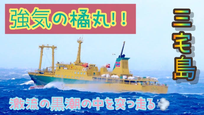 強気の橘丸!!