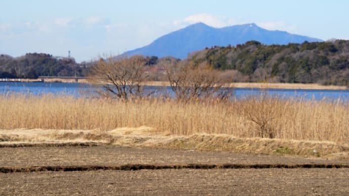 散歩道に復帰💦