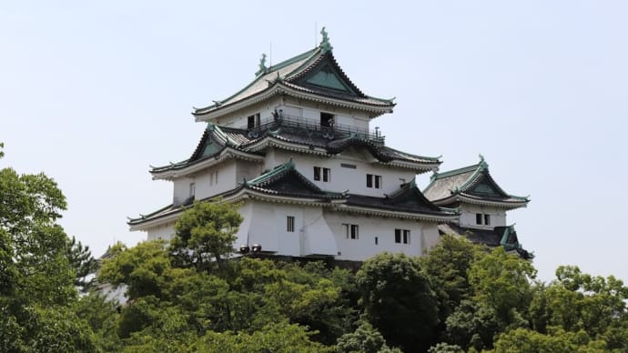 紀伊(7)和歌山城