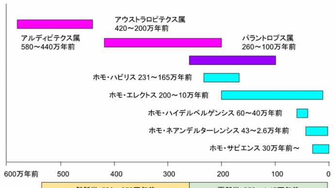 人類は、アウストラロピテクス属から進化した2