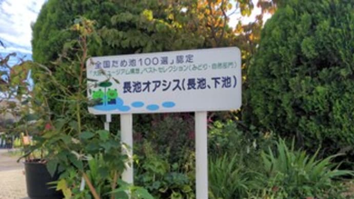 【長池オアシス】 『早朝ウォーキング』 “全国ため池100選認定” 熊取町美熊台