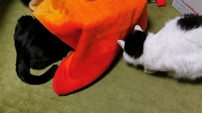 頭を突っ込んだまま…