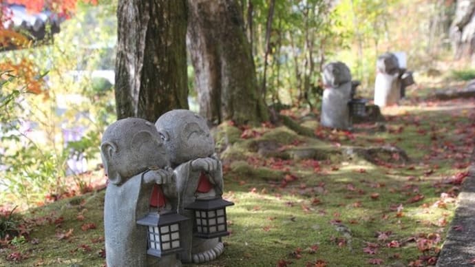 法界院~2022年11月11日