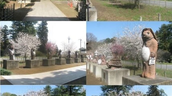 『茂林寺のさくら』