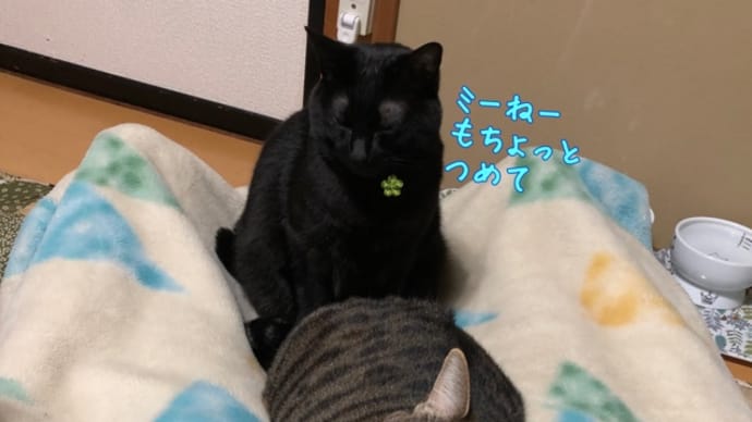 諭吉っちゃんと縁遠いヒト