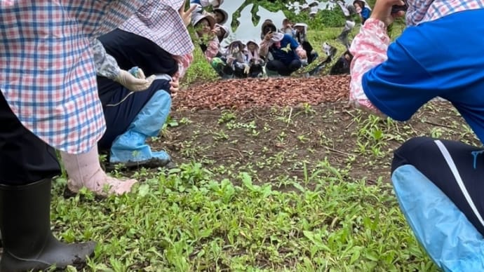 塙町研修を通して