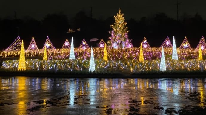 馬見丘陵公園クリスマスウィーク(夜バージョン)