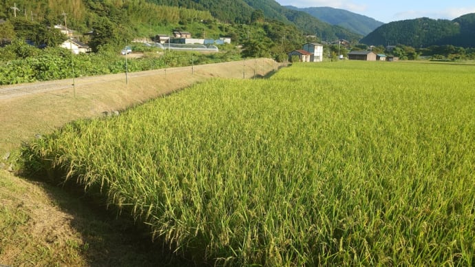 草刈り