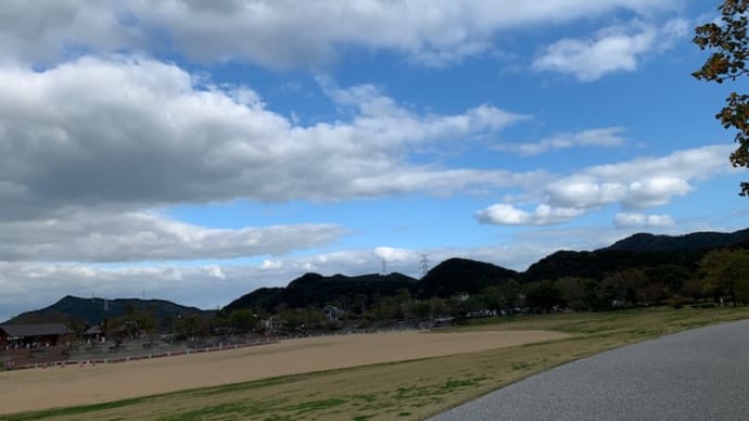 「久しぶりの公園でち(*´з`)」