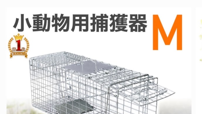 捕獲大作戦!!