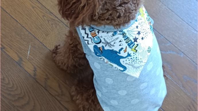 お揃いのワン服と業スーのガーリックフレーク