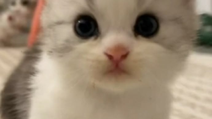 今日も1日お疲れ様です😌💓