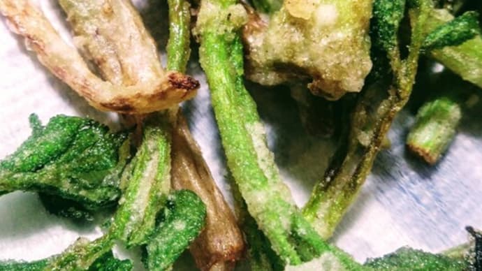 山菜三昧