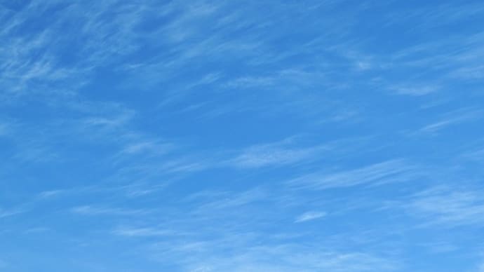 朝からいい天気でした