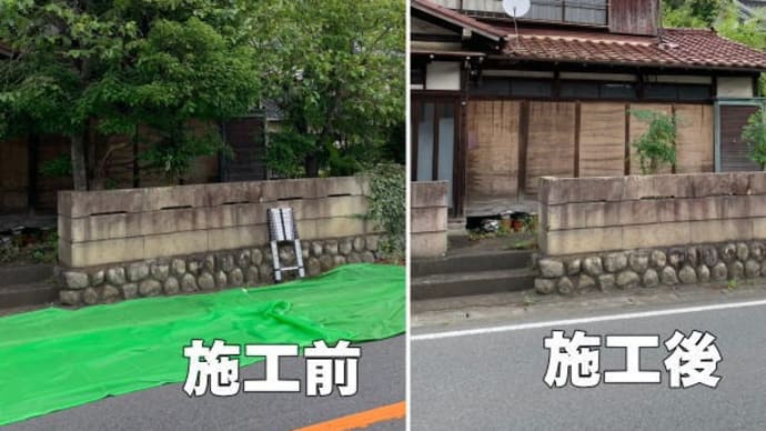敷地いっぱいに枝が縦横無尽に伸びてしまい家の中に光が入りづらくなってしまったと伐採ご依頼
