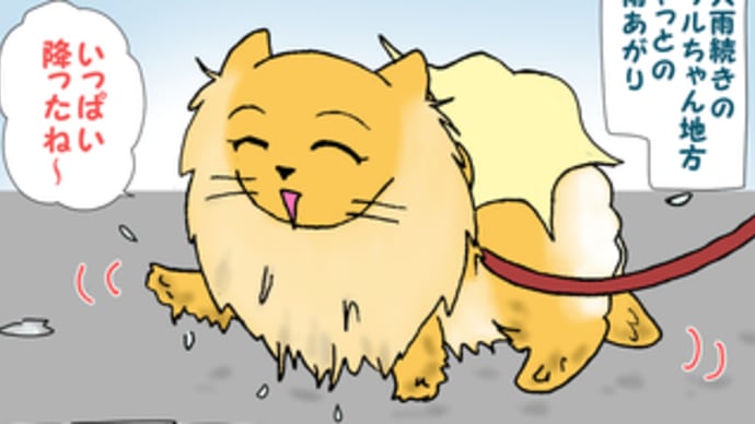 大雨のあとのビックリ