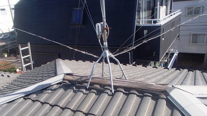 庭に屋根のトタンが落ちていました