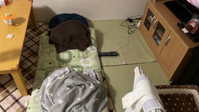 だいぶ痛みが引きました