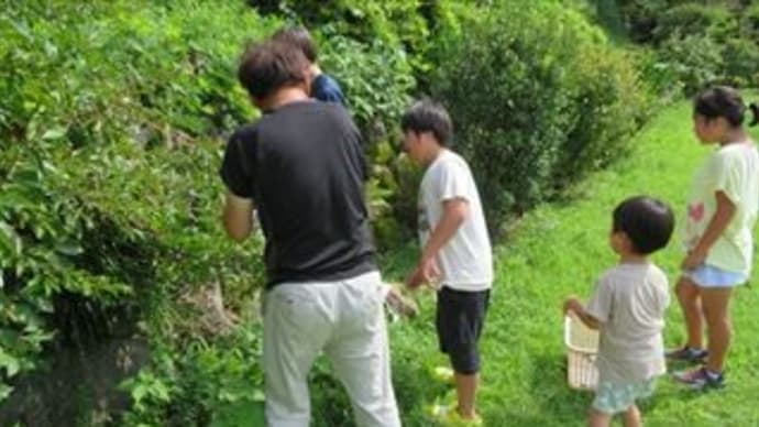 ひと夏の思い出
