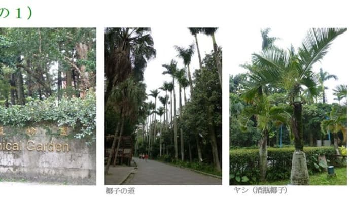 旅先に見る世界の植物園_10(台湾)