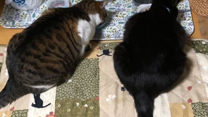 おトク感
