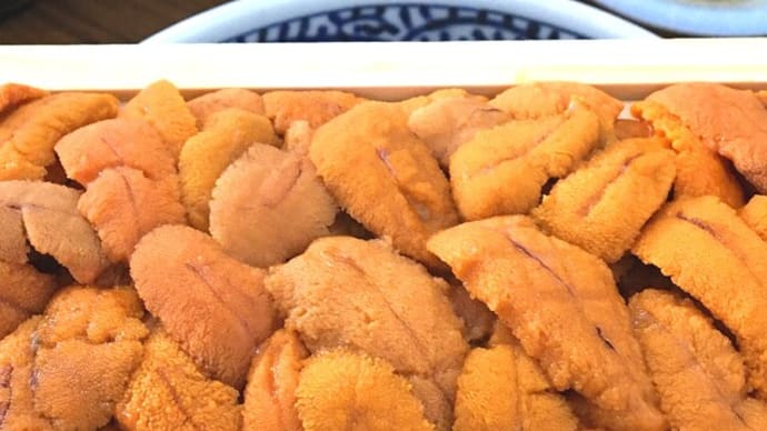 100km走ってからの菜の花うに丼ツーリング
