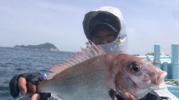 マダイ